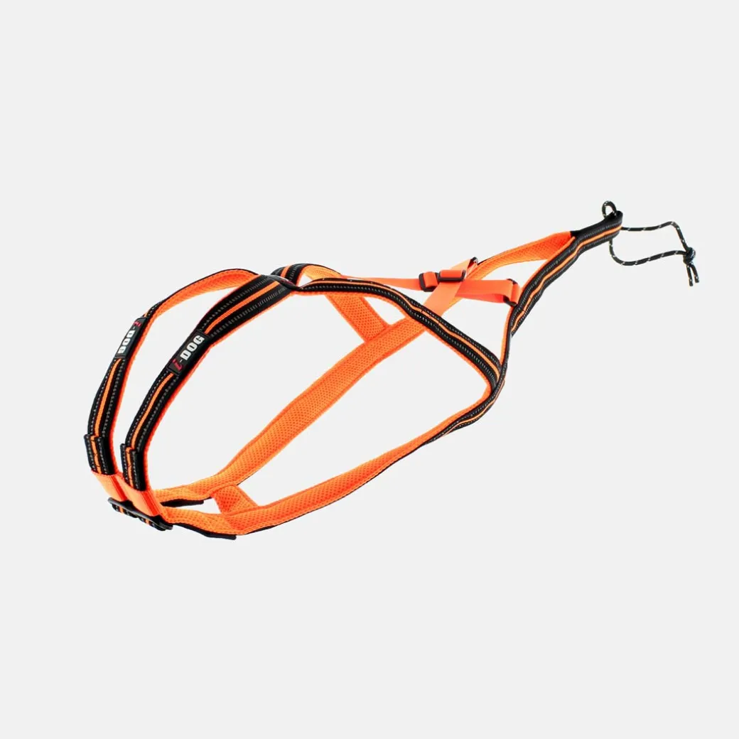 Femme Raidlight Canitrail | Canitrail | HARNAIS CANICROSS ONE I-DOG