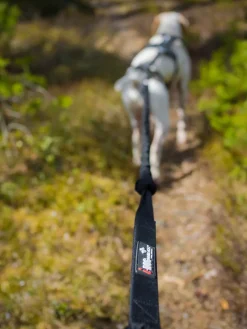 Femme Raidlight Canitrail | Canitrail | LONGE CANITRAIL